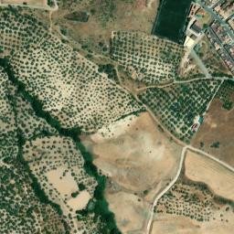 Satellite imagery of survey_point, DZ
