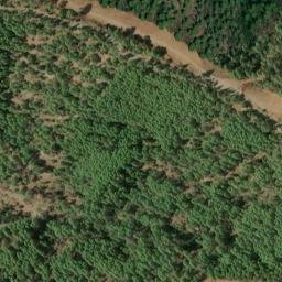 Satellite imagery of survey_point, DZ