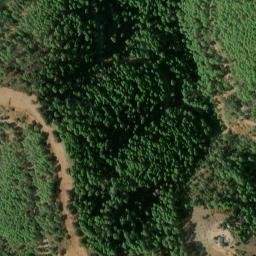 Satellite imagery of survey_point, DZ