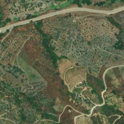 Satellite imagery of survey_point, DZ