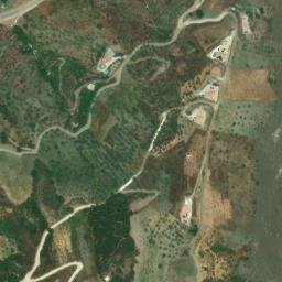 Satellite imagery of survey_point, DZ