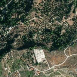 Satellite imagery of survey_point, DZ