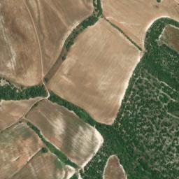Satellite imagery of survey_point, DZ