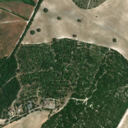 Satellite imagery of survey_point, DZ