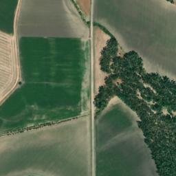 Satellite imagery of survey_point, DZ
