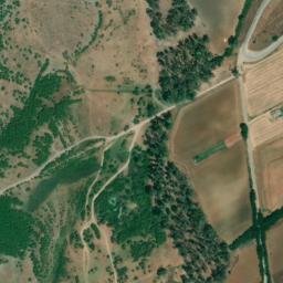 Satellite imagery of survey_point, DZ