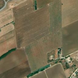 Satellite imagery of survey_point, DZ