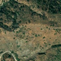 Satellite imagery of survey_point, DZ