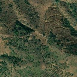 Satellite imagery of survey_point, DZ