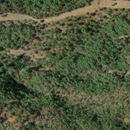 Satellite imagery of survey_point, DZ