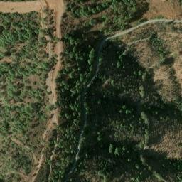 Satellite imagery of survey_point, DZ