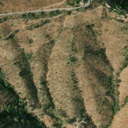 Satellite imagery of survey_point, DZ