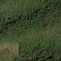 Satellite imagery of Pine Spur, US