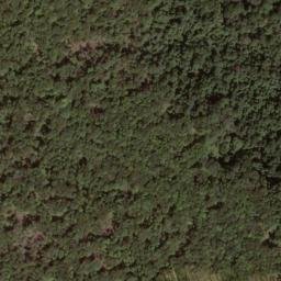 Satellite imagery of Straight Fork Ridge, US