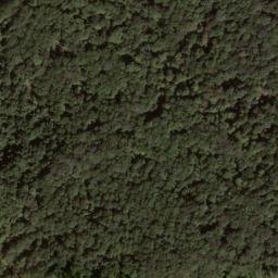 Satellite imagery of Straight Fork Ridge, US