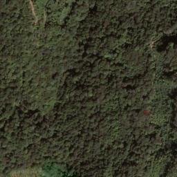 Satellite imagery of Straight Fork Ridge, US