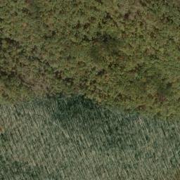 Satellite imagery of Brumley Rim, US