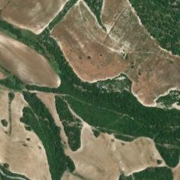Satellite imagery of survey_point, DZ