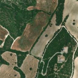 Satellite imagery of survey_point, DZ