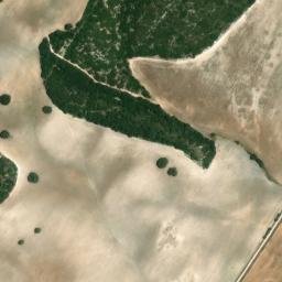 Satellite imagery of survey_point, DZ