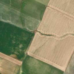 Satellite imagery of survey_point, DZ