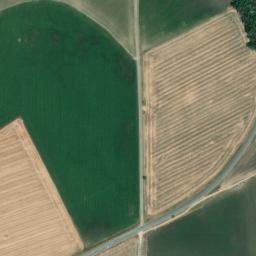 Satellite imagery of survey_point, DZ