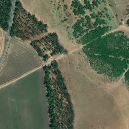 Satellite imagery of survey_point, DZ