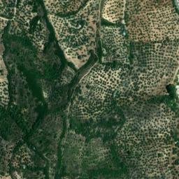 Satellite imagery of survey_point, DZ