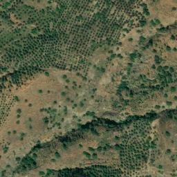 Satellite imagery of survey_point, DZ