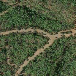 Satellite imagery of survey_point, DZ