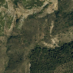 Satellite imagery of survey_point, DZ