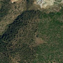 Satellite imagery of survey_point, DZ