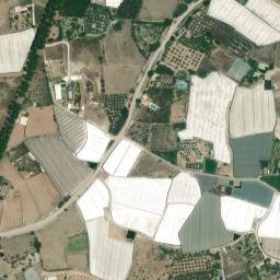 Satellite imagery of survey_point, DZ