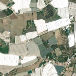 Satellite imagery of survey_point, DZ