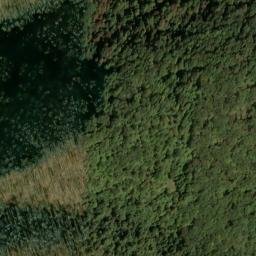 Satellite imagery of Pine Spur, US