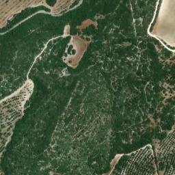 Satellite imagery of survey_point, DZ