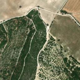 Satellite imagery of survey_point, DZ