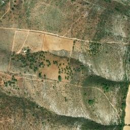 Satellite imagery of survey_point, DZ
