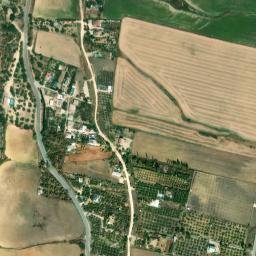 Satellite imagery of survey_point, DZ