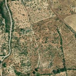 Satellite imagery of survey_point, DZ