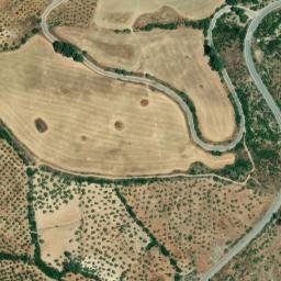 Satellite imagery of survey_point, DZ