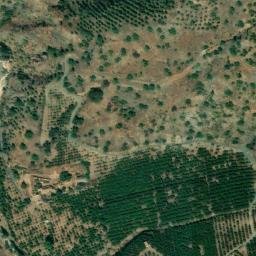 Satellite imagery of survey_point, DZ