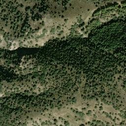 Satellite imagery of survey_point, DZ