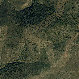 Satellite imagery of survey_point, DZ