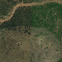 Satellite imagery of survey_point, DZ