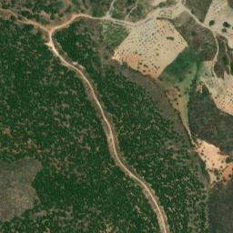 Satellite imagery of survey_point, DZ