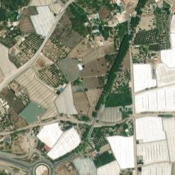 Satellite imagery of survey_point, DZ