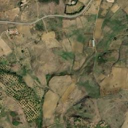 Satellite imagery of Tabourt M’Guissi, DZ