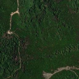 Satellite imagery of Choûf Chouîya, DZ