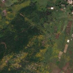 Satellite imagery of Touana, DZ